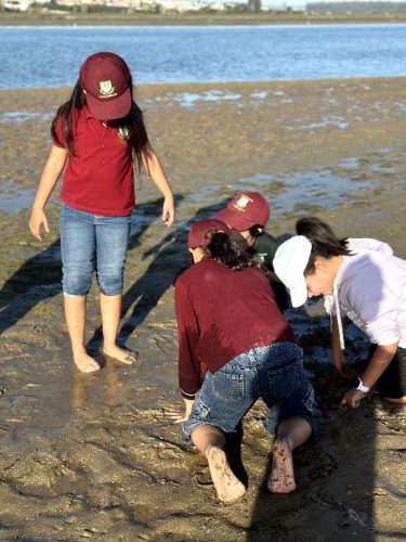 2025_11_11_16_22_IMG_7589