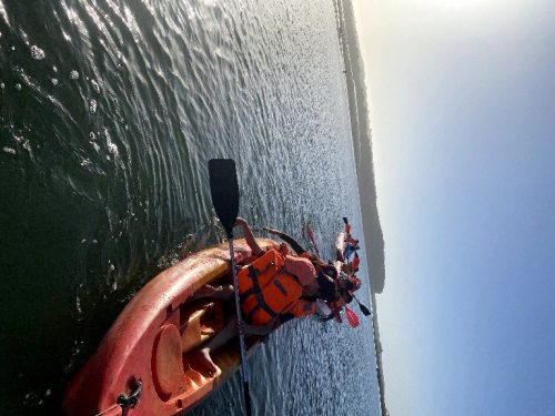 2025_11_11_16_44_IMG_7533