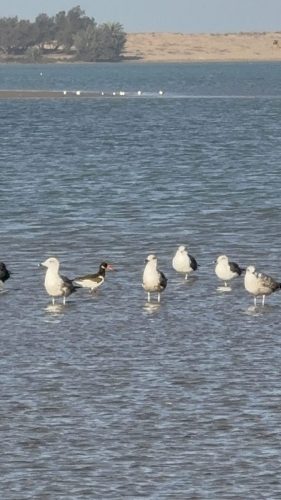 2025_11_12_10_11_IMG_8173