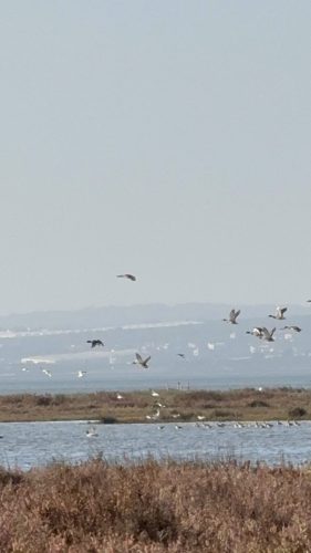 2025_11_12_10_22_IMG_8174