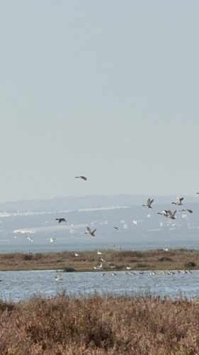 2025_11_12_10_22_IMG_8174~1