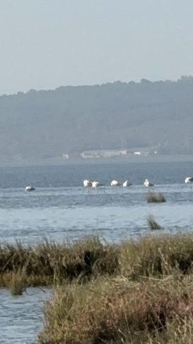 2025_11_12_10_26_IMG_8176~1