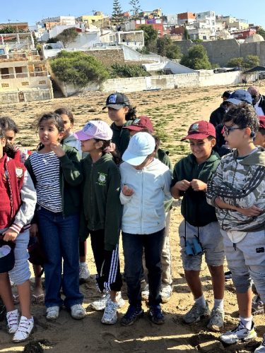 2025_11_12_11_28_IMG_2340