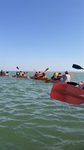 2025_11_12_15_04_IMG_2387