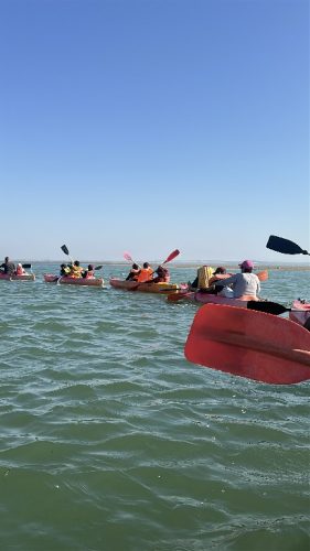 2025_11_12_15_04_IMG_2387~1