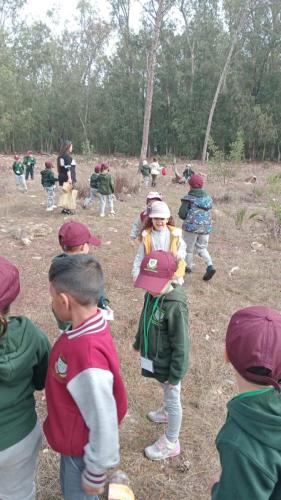 IMG-20241102-WA0039