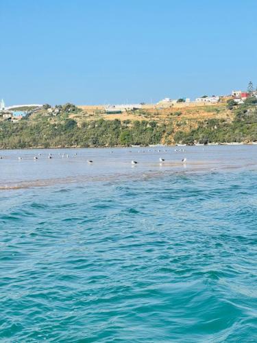 IMG-20241127-WA0030