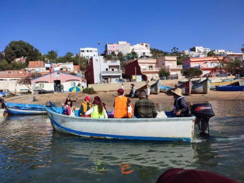 IMG-20241127-WA0180