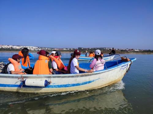 IMG-20241127-WA0217