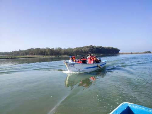 IMG-20241127-WA0218