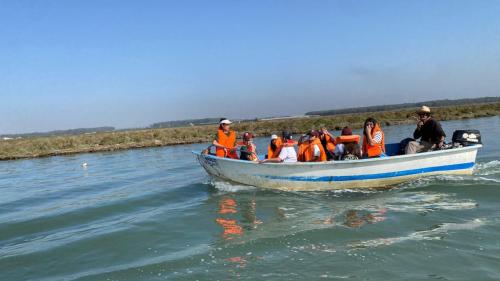 IMG-20241127-WA0231