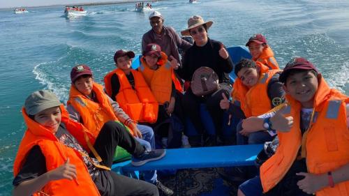 IMG-20241127-WA0233