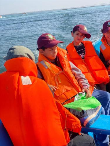 IMG-20241127-WA0244