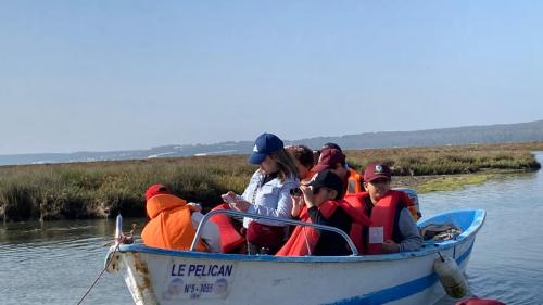 IMG-20241127-WA0246