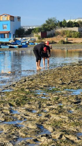 IMG-20251111-WA0117~1