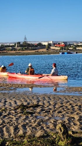 IMG-20251111-WA0131~1