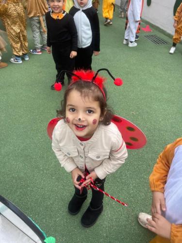 PHOTO-2025-02-12-16-30-47 50