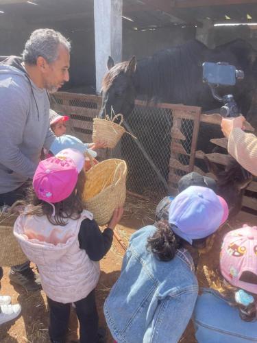 PHOTO-2025-04-15-14-54-29 3