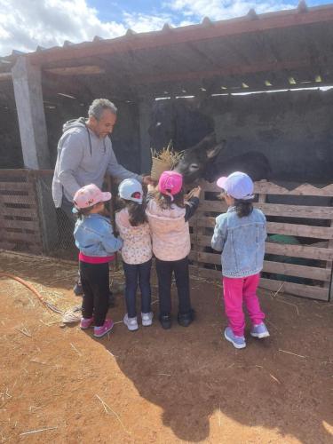 PHOTO-2025-04-15-14-54-29 7