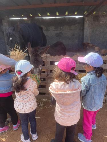 PHOTO-2025-04-15-14-54-30 3