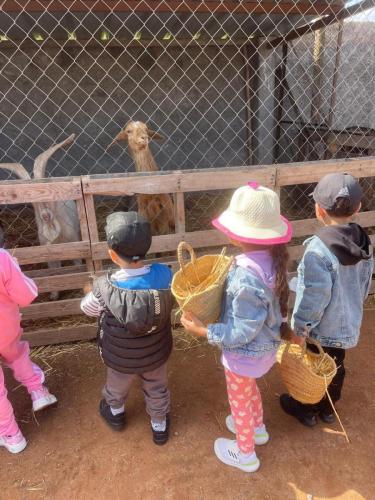 PHOTO-2025-04-15-14-54-30 4