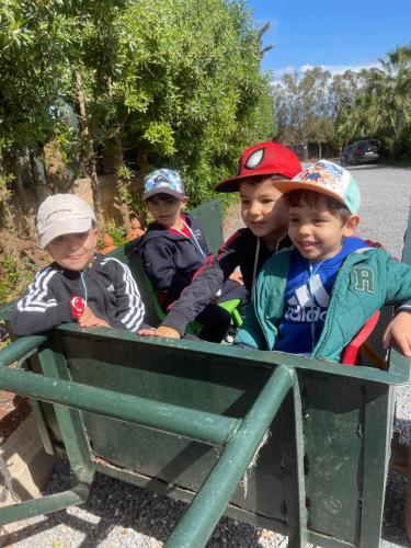 PHOTO-2025-04-15-14-57-35 16