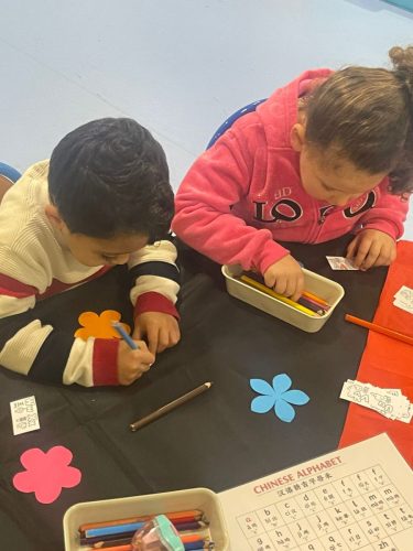 WhatsApp Image 2026-02-13 at 13.46.49