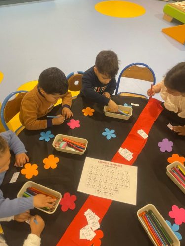 WhatsApp Image 2026-02-13 at 13.46.52