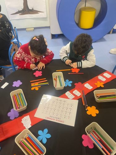 WhatsApp Image 2026-02-13 at 13.46.55 (2)