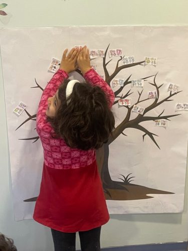 WhatsApp Image 2026-02-13 at 13.46.55 (3)