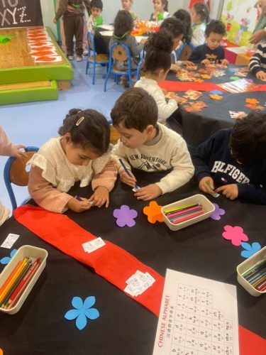 WhatsApp Image 2026-02-13 at 13.46.56