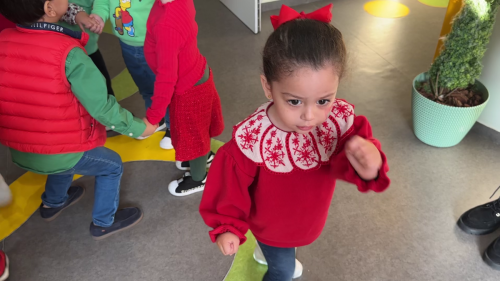 vlcsnap-2024-11-07-15h58m33s668