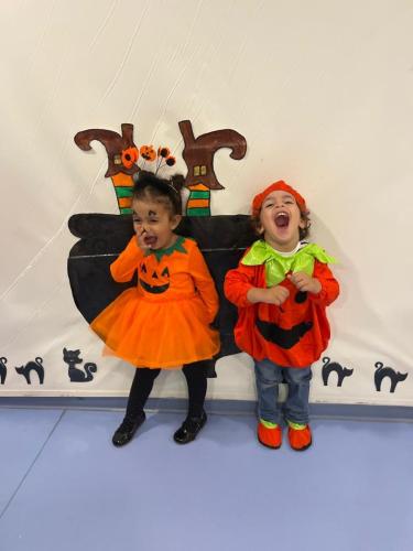 PHOTO-2024-10-18-16-52-33-11