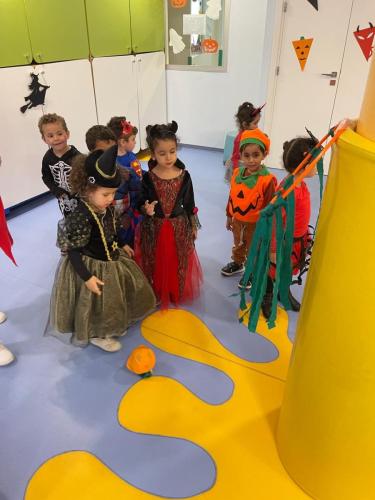 PHOTO-2024-10-18-17-15-36-18