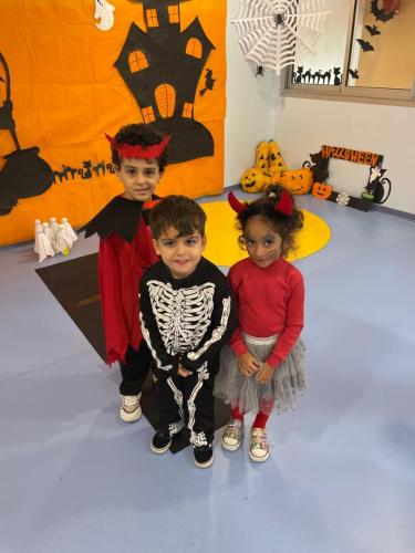 PHOTO-2024-10-18-17-15-36-3