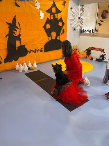 PHOTO-2024-10-18-17-15-37-14