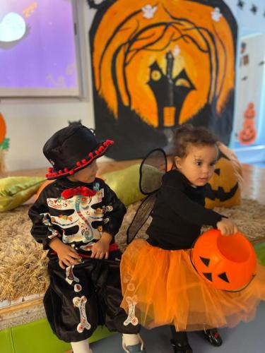 PHOTO-2024-10-18-17-15-37-25