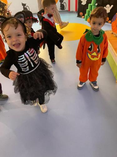 PHOTO-2024-10-18-17-15-37-41