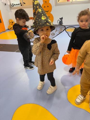 PHOTO-2024-10-18-17-15-37-51