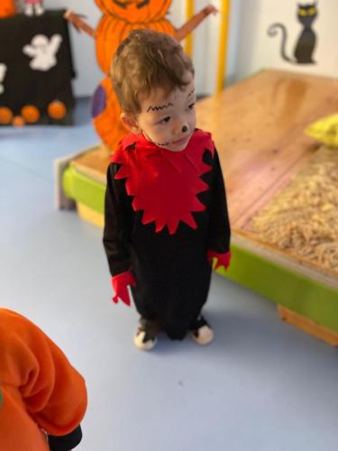 PHOTO-2024-10-18-17-15-37-59