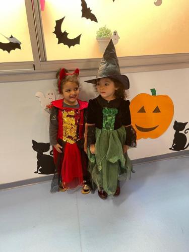 PHOTO-2024-10-18-17-15-37-6