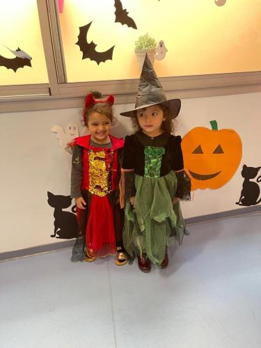 PHOTO-2024-10-18-17-15-37-7