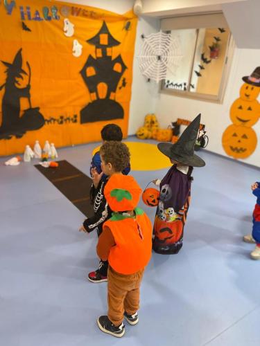 PHOTO-2024-10-18-17-15-37-8