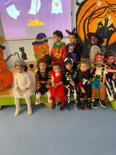 PHOTO-2024-10-18-17-22-00-11