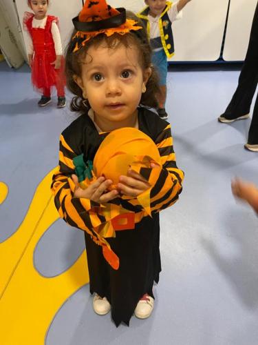 PHOTO-2024-10-18-17-22-00-17