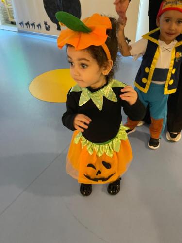 PHOTO-2024-10-18-17-22-00-18