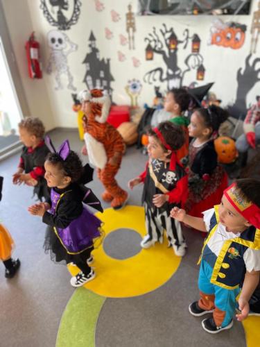 PHOTO-2024-10-18-17-22-00-3