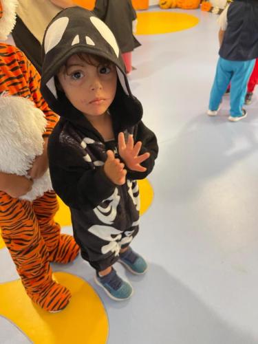 PHOTO-2024-10-18-17-22-00-32