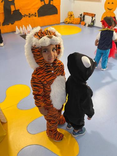 PHOTO-2024-10-18-17-22-00-34