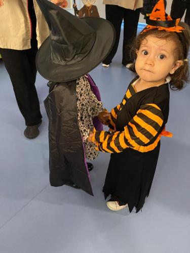 PHOTO-2024-10-18-17-22-00-36